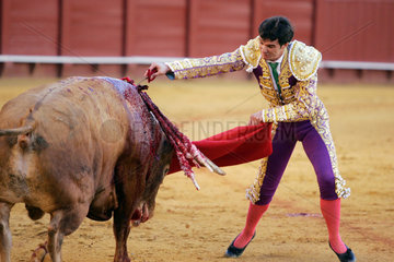Sevilla  Spanien  der spanische Stierkaempfer Luis Vilches in der Arena