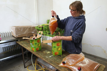 Schleswig  Deutschland  frisch gepresster Apfelsaft wird verpackt