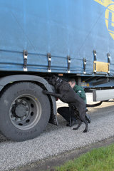Brekendorf  Deutschland  Zollbeamter durchsucht mit Zollhund einen LKW