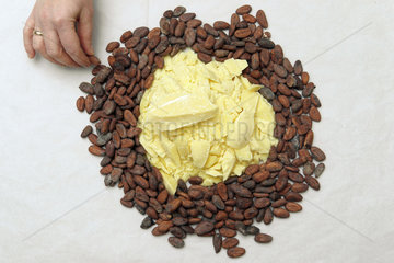 Handewitt  Deutschland  Kakaobutter und geroestete Kakaobohnen in einer Schokoladenmanufaktur