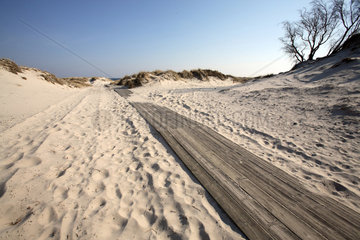Suedschweden  Strand in Sandhammeren