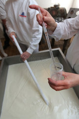Molfsee  Deutschland  Kaeseherstellung: kuenstliches Lab wird in die Rohmilch gegeben