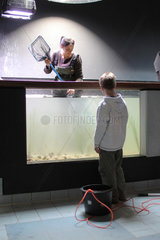 Kiel  Deutschland  Praktikantin des IFM-Geomar ordnet Pflanzen in einem Becken des Aquariums