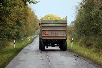 Grossenwiehe  Deutschland  ein mit Mais beladenes Erntefahrzeug auf einer Landstrasse