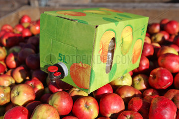 Schleswig  Deutschland  frisch gepresster Apfelsaft in der Bag-in-Box