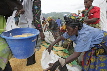 Goma  Demokratische Republik Kongo  Lebensmittelverteilung im Fluechtlingslager Shasha