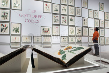 Schleswig  Deutschland  Sonderausstellung zum Gottorfer Codex
