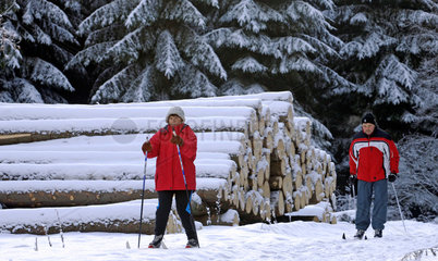 Chemnitz  Deutschland  Skifahrer im Rabensteiner Wald bei Chemnitz
