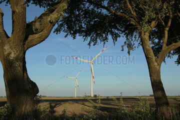 Galmsbuell  Deutschland  Windkraftanlagen auf Feldern