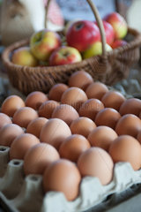 Kremperheide  Deutschland  Eier und Aepfel in einem Hofladen