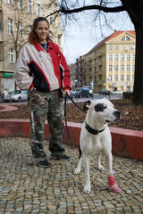 Berlin  Deutschland  eine junge Frau mit ihrem American Bulldog Boxer Stafford Hund