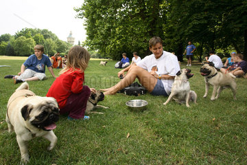 Menschen mit Moepsen im Park auf der Margareteninsel in Budapest