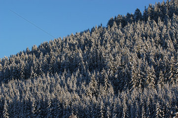 Winterlandschaft im suedlichen Schwarzwald