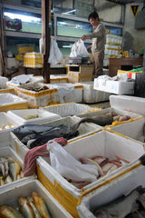 Peking  Haendler verkauft Fisch und andere Meerestiere