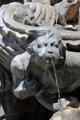 Rom  Italien  ein Wasserspeier