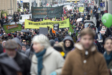 Berlin  Deutschland  Menschen protestieren bei der Demo - Wir haben es satt! gegen die industrielle Landwirtschaft und das Bienensterben.