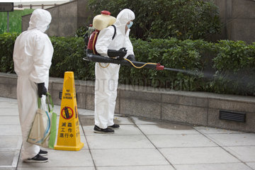 Hong Kong  China  Mann versprueht Pestizide auf einen Strauch