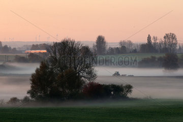 Goerlsdorf  Deutschland  Nebel am Morgen ueber den Feldern der Uckermark