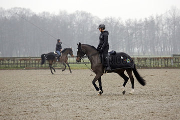 Neustadt (Dosse)  Pferde werden im Winter auf einem Turnier abgeritten