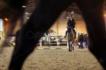 Neustadt (Dosse)  Pferde und Reiter im Winter auf einem Turnier in der Abreitehalle
