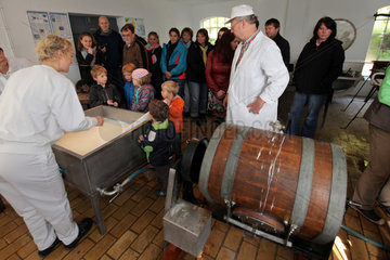 Molfsee  Deutschland  die Besucher koennen bei der Kaeseherstellung zusehen