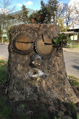 Berlin  Deutschland  Baumstumpf mit Gesicht