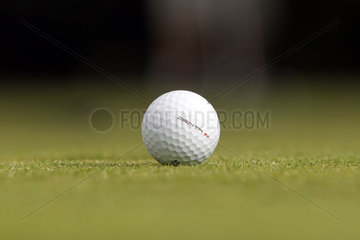 Sankt Peter-Ording  Deutschland  ein Golfball liegt auf dem Rasen eines Golfplatzes