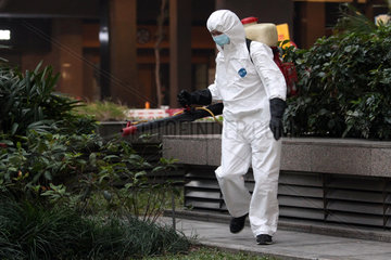 Hong Kong  China  Mann versprueht Pestizide auf einen Strauch
