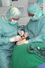 Flensburg  Deutschland  Kieferchirurg bei einer Behandlung mit der BMAC-Methode