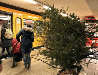 Berlin  Deutschland  Tannenbaum steckt in einem Abfalleimer auf einem U-Bahnhof