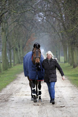Neustadt (Dosse)  Pferd wird im Winter mit Decke eine Allee entlang gefuehrt