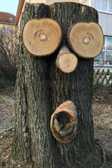 Berlin  Deutschland  Baumstumpf mit Gesicht  ein sogenannter Baumkobold