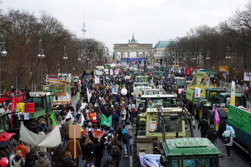 Berlin  Deutschland  Demo - Wir haben es satt! auf der Strasse des 17. Juni vor dem Brandenburger Tor