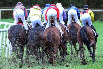Hannover  Deutschland  Pferde und Jockeys im Rennen