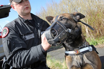 Eggebek  Deutschland  Training von Polizeihunden