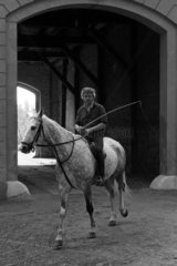 Gestuet Graditz  Pferdewirt reitet mit Longierpeitsche