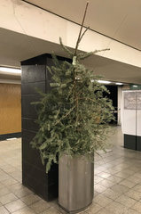 Berlin  Deutschland  Tannenbaum steckt in einem Abfalleimer auf einem U-Bahnhof