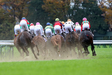 Tokio  Japan  Pferde und Jockeys im Rennen