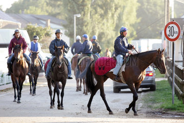 Iffezheim  Reiter und Pferde beim Training am Morgen