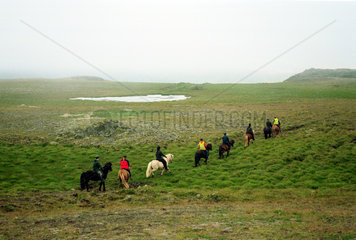 Varmahlid  Reiter auf Island-Pferden