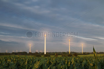 Breklum  Deutschland  Windkraftanlagen hinter einem Maisfeld