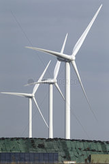 Niebuell  Deutschland  Windkraftanalge