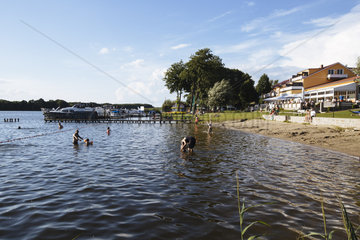 Idyllische Uferlandschaft am Mirower See