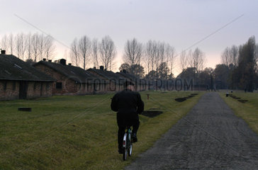 Sicherheitsbeamter im KZ Auschwitz II - Birkenau