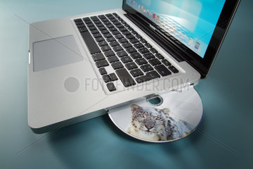 Hamburg  Deutschland  Apple MacBook Pro mit Mac OS X Server Snow Leopard