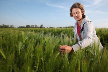 Wangels  Deutschland  Frau betrachtet Wintergerste auf einem Getreidefeld