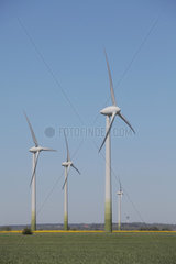 Hattstedtermarsch  Deutschland  Windpark mit Anlage der Firma Enercon
