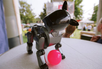 Roboter-Spielzeughund Aibo von Sony
