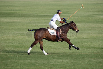 Dubai  Vereinigte Arabische Emirate  Polospieler