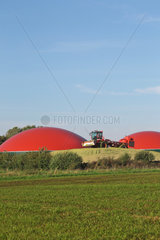 Dollerup  Deutschland  Maisernte und Biogasproduktion
